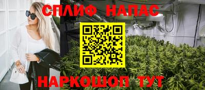 ГАЛЛЮЦИНОГЕННЫЕ ГРИБЫ Кингисепп