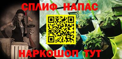 ГАЛЛЮЦИНОГЕННЫЕ ГРИБЫ Кингисепп