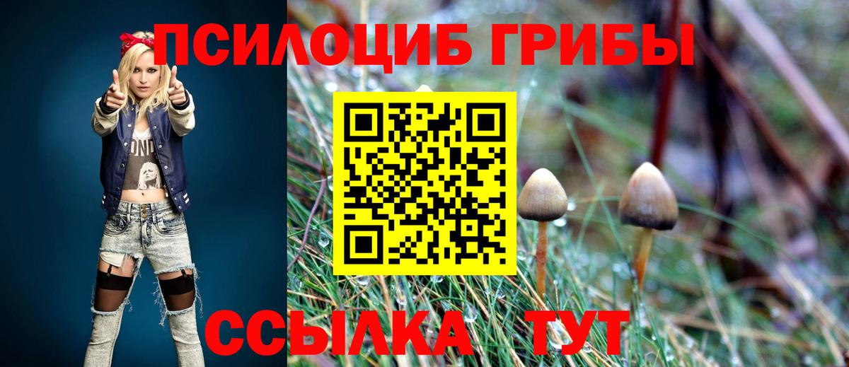 Псилоцибиновые грибы GOLDEN TEACHER  Вход с VPN  Кисловодск  Псилоцибиновые грибы MAGIC MUSHROOMS 