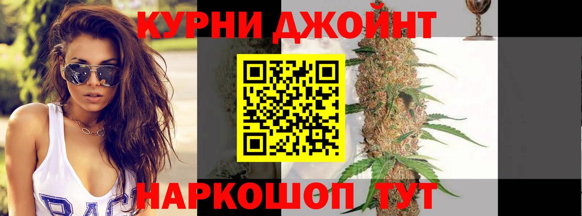 Канабис планчик Кисловодск